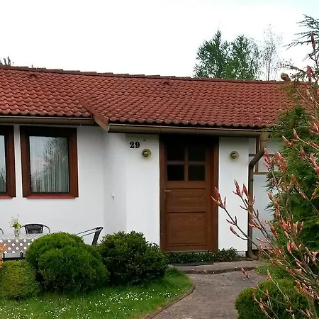 Ptyrov Mnichovo Hradiště